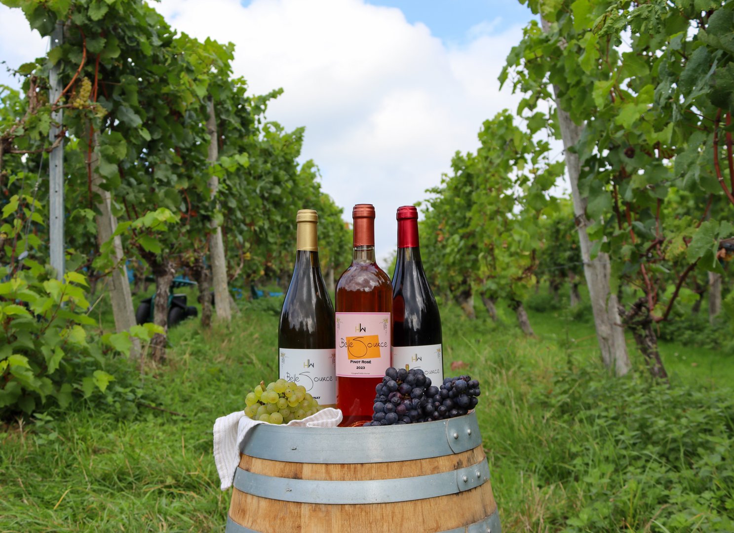 Belle Source winery background