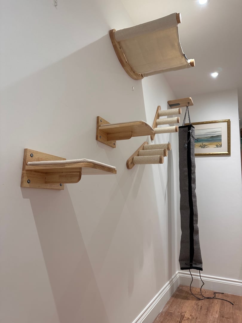 Property exterior work by I'm The Handyman