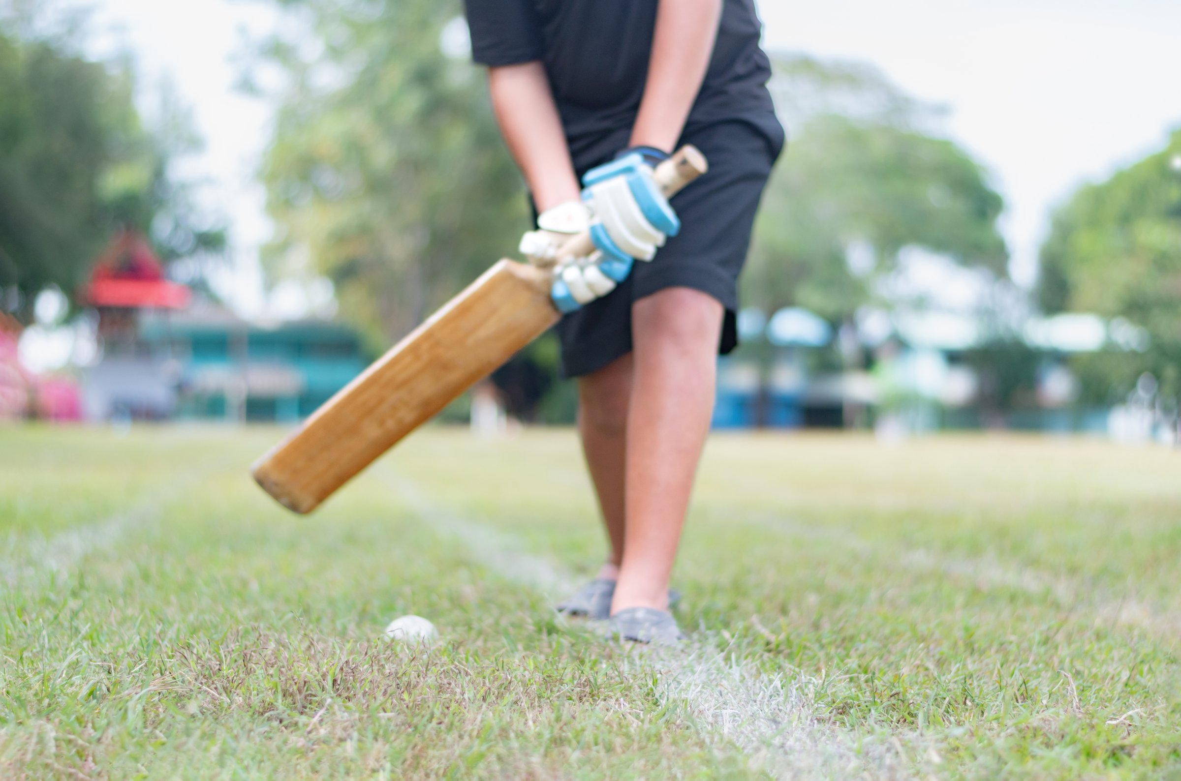 Young cricket sport player wears helmet and gloves, holding cricket bat and old cricket ball in outdoor field, soft focus, hobbies and education concept.