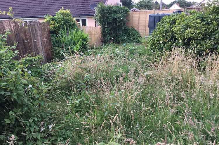 Clear Space Team professional garden and outdoor clearance service