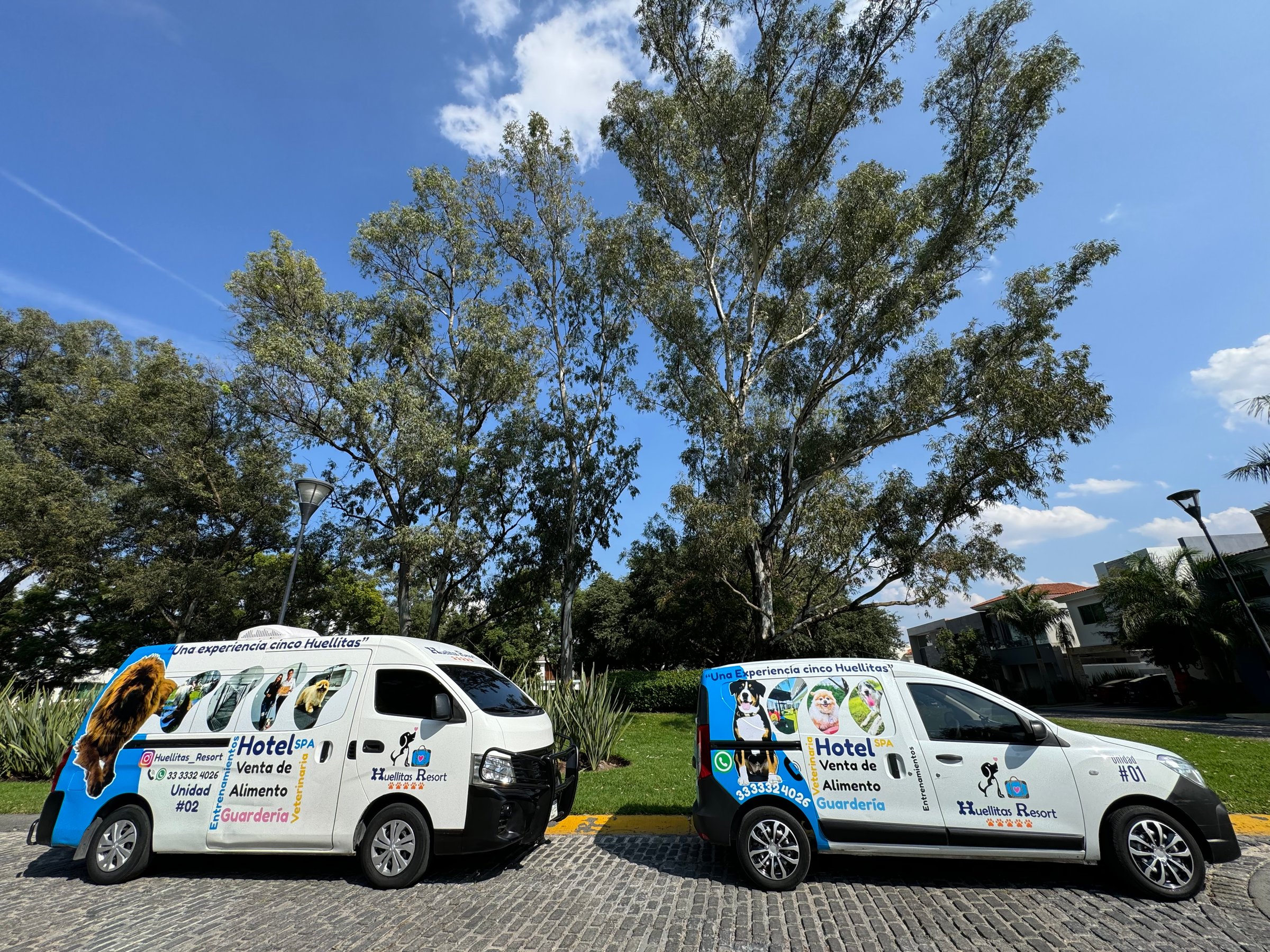 Transporte Seguro - Huellitas Resort