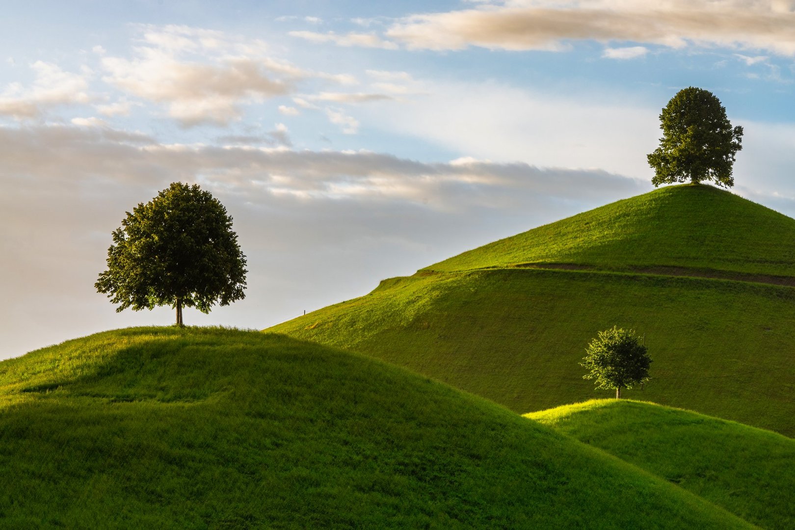Trees on the hills, Lush green mountains