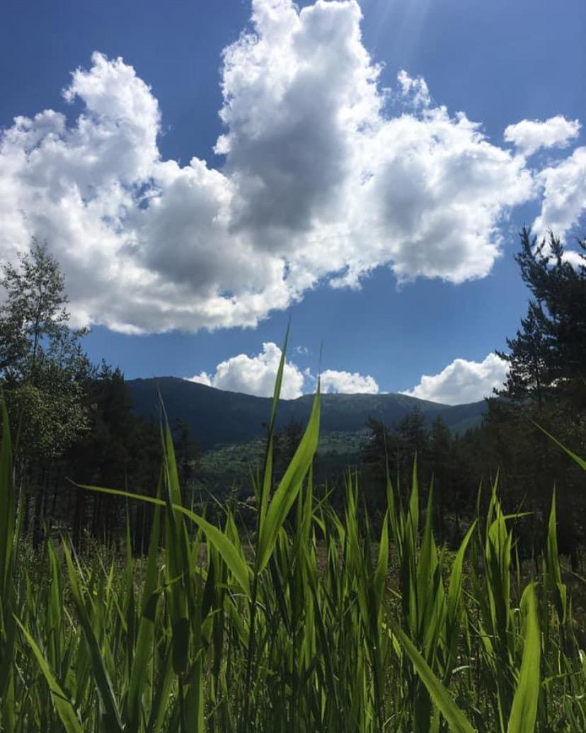 Studio Psicologia Rita Gallo - Torino