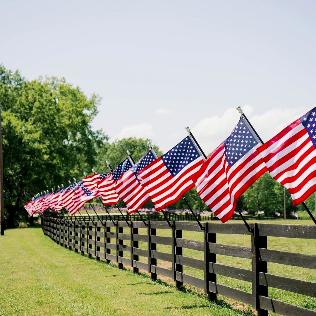 Rows of American flags displayed along a wooden fence with a backdrop of green trees and grass.