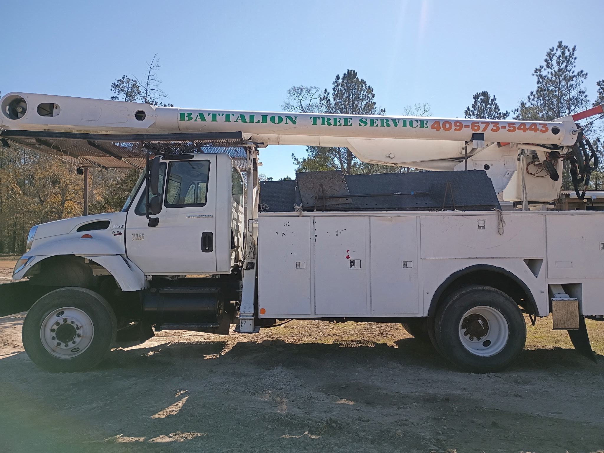 Battalion Tree Service professional tree care