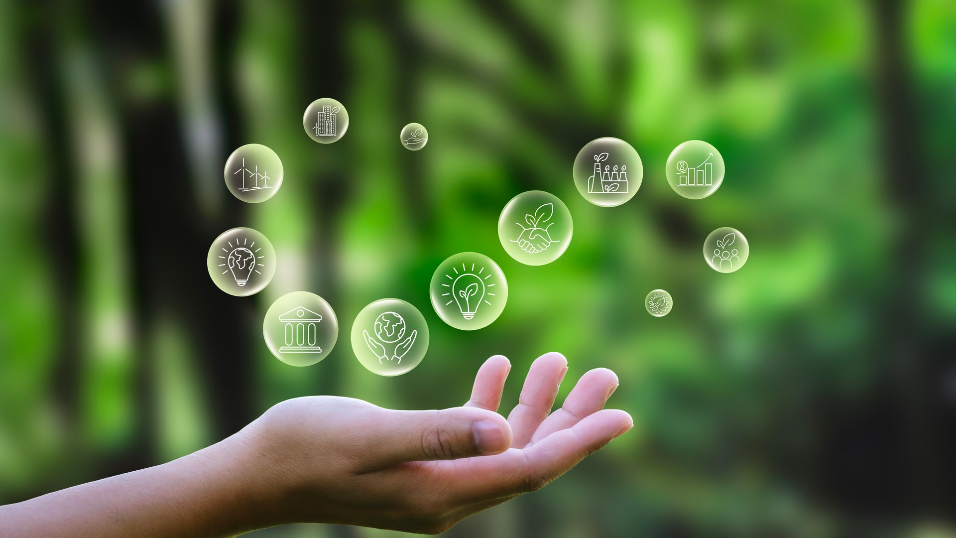 Safety and Transparency