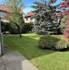 Europak promet projekt 2