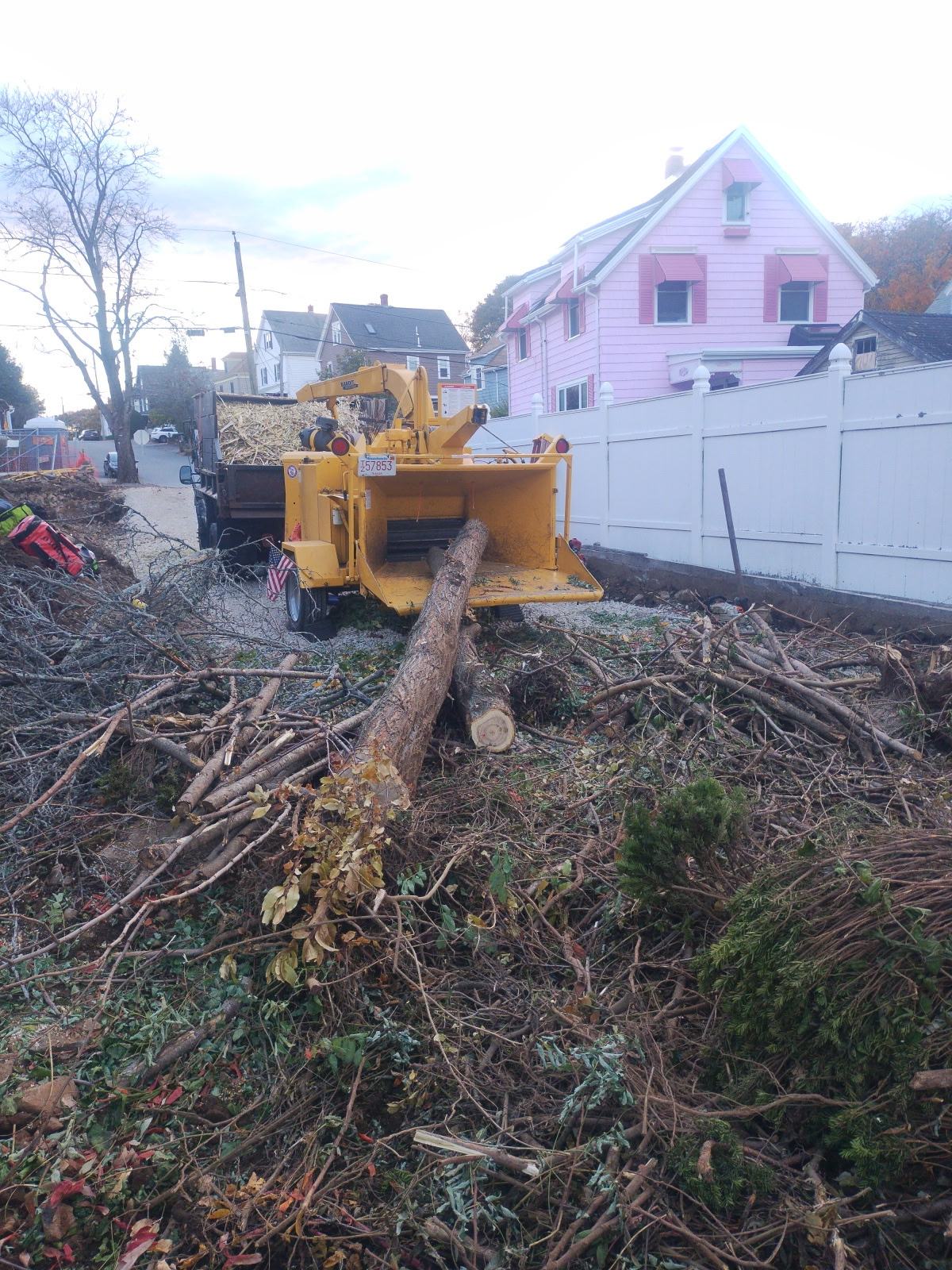 Above & Beyond Tree Care professional tree service