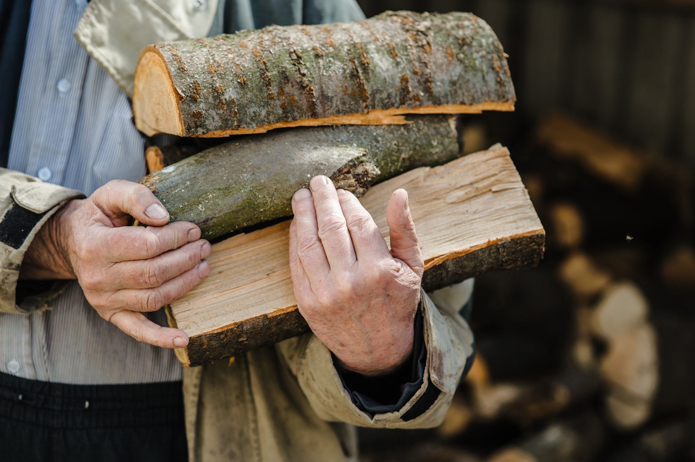 Rough, veined hands carry freshly chopped logs. Behind them, firewood is piled high. The scene tells a story of resilience.