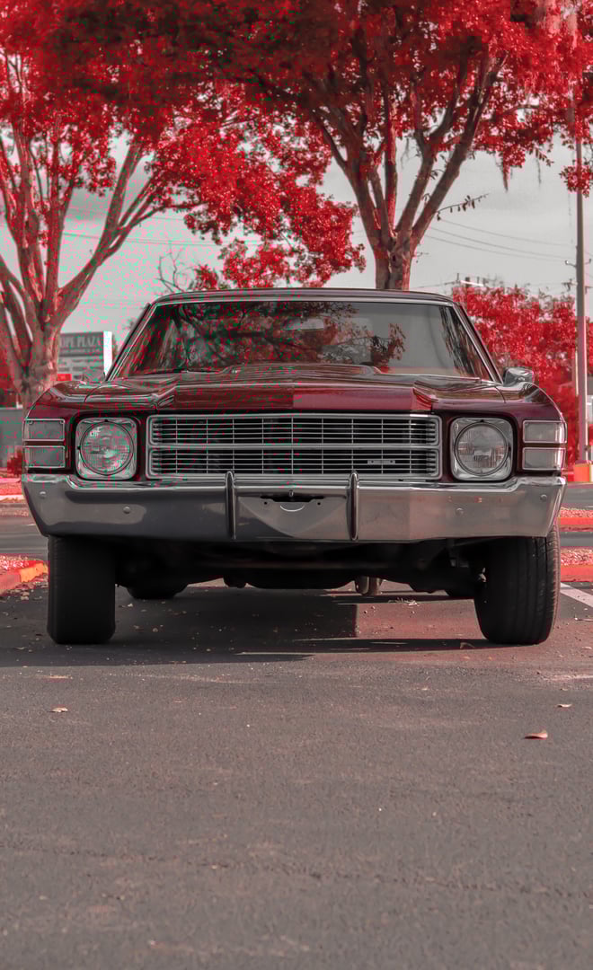 Professional portrait photographer Lakeland