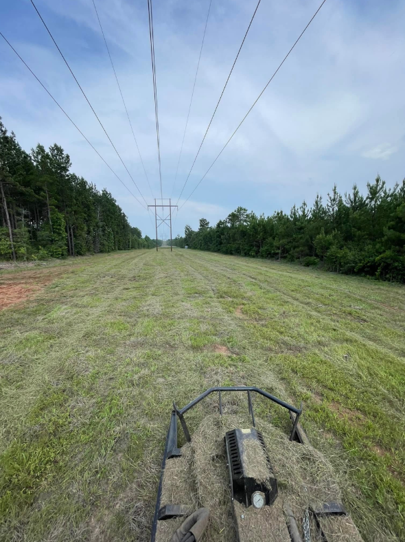 After land clearing project