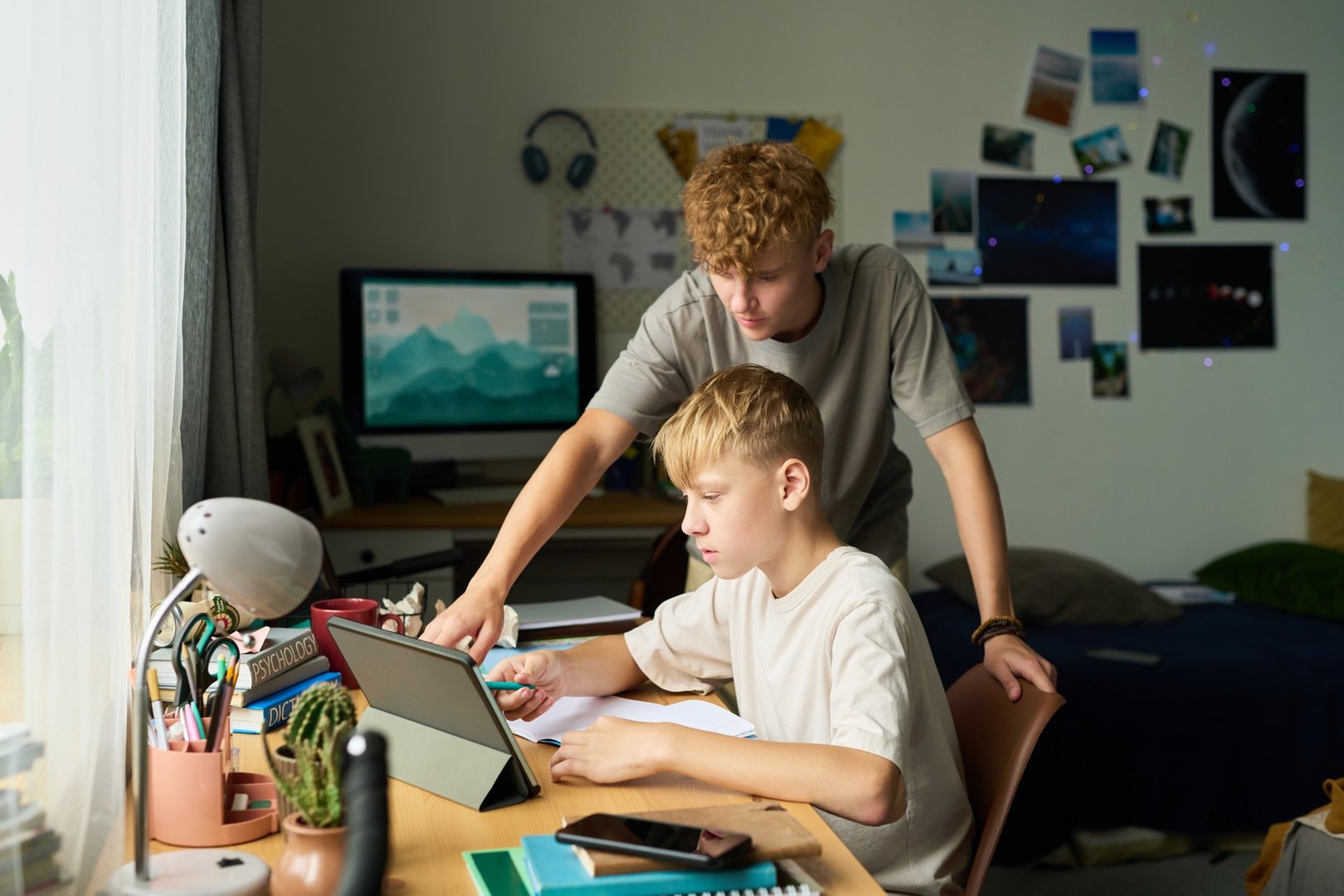 Two teenage brothers studying together at desk in bedroom