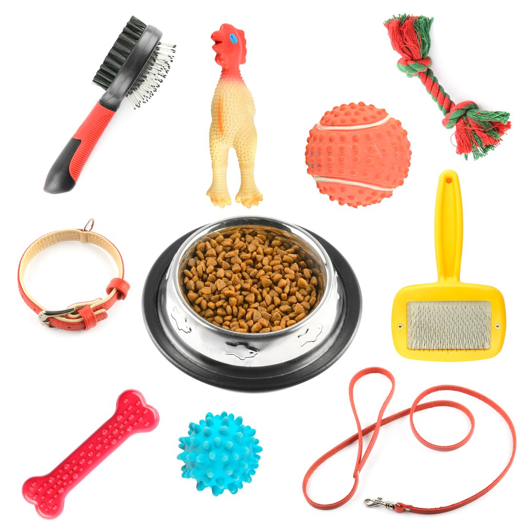 Accessories and toys for dogs and cats isolated on white background.