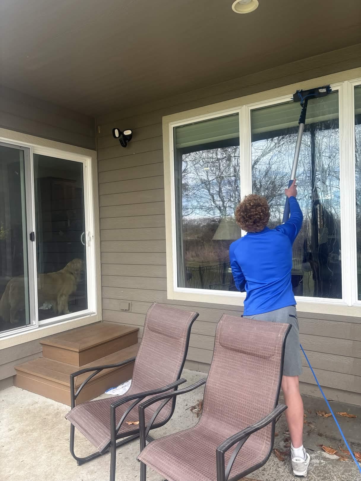 Professional window cleaning service