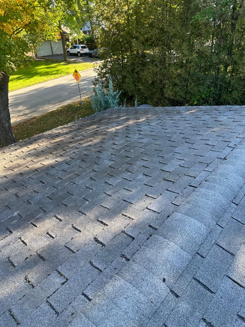 Roof after moss removal - clean and restored