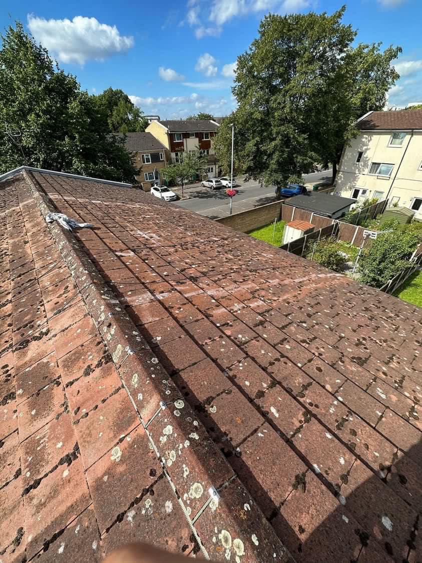 Roof before cleaning