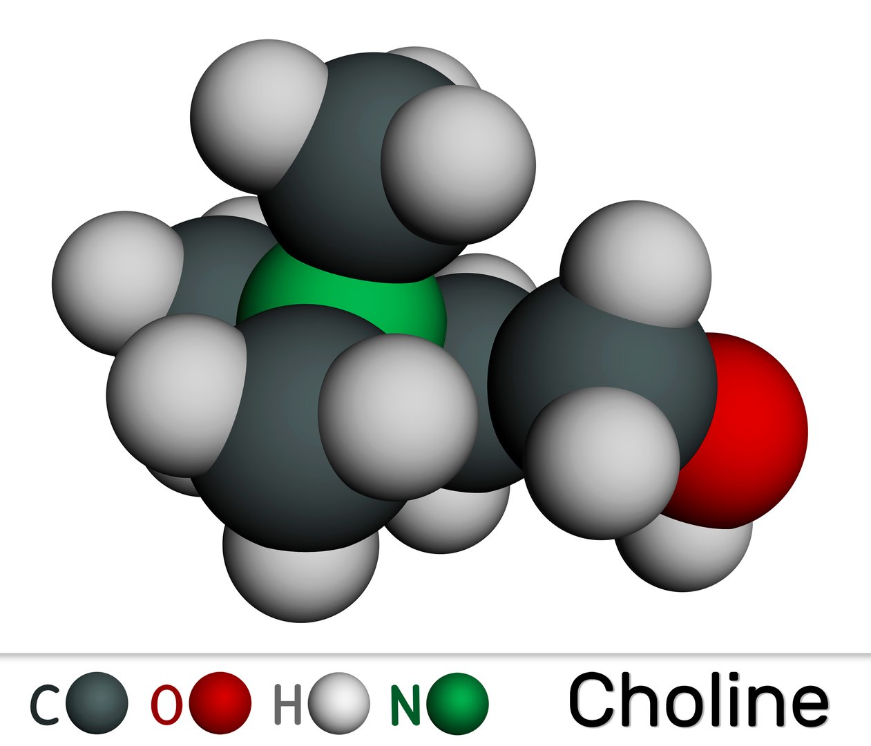Choline vitamin-like essential nutrien molecule. It is Vitamin B4. Molecular model. 3D rendering. Illustration