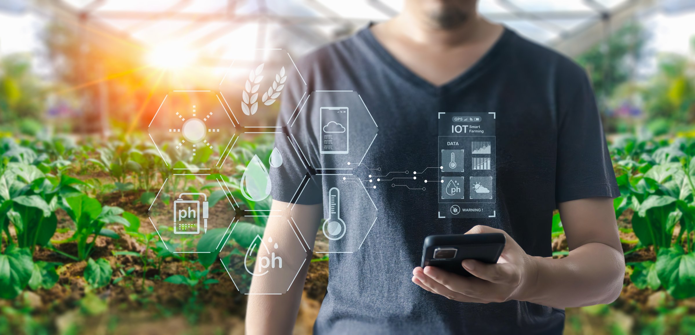 Modern farmers use AI technology to help with farming. Concepts about IOT