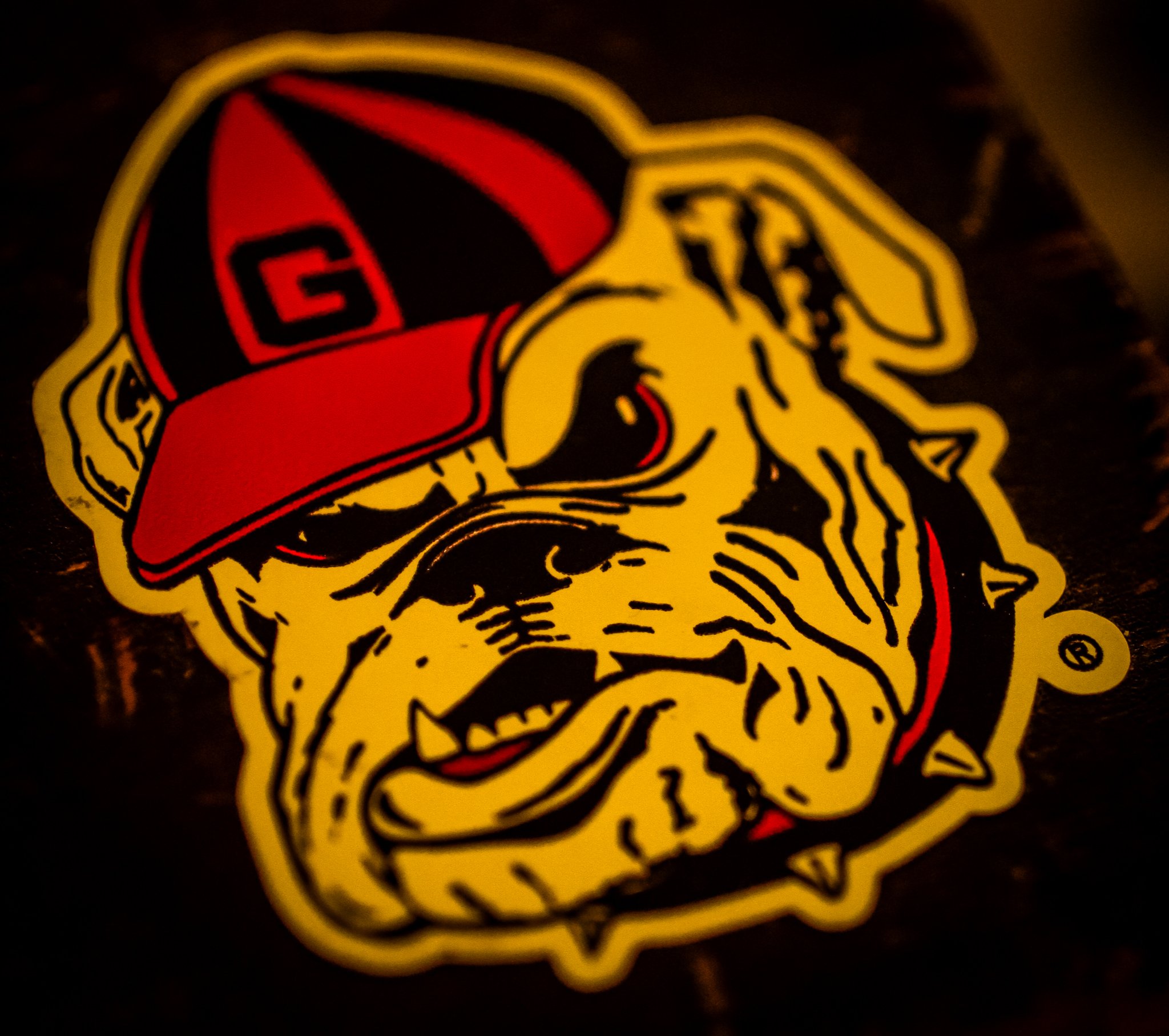 Event detail photography Polk County