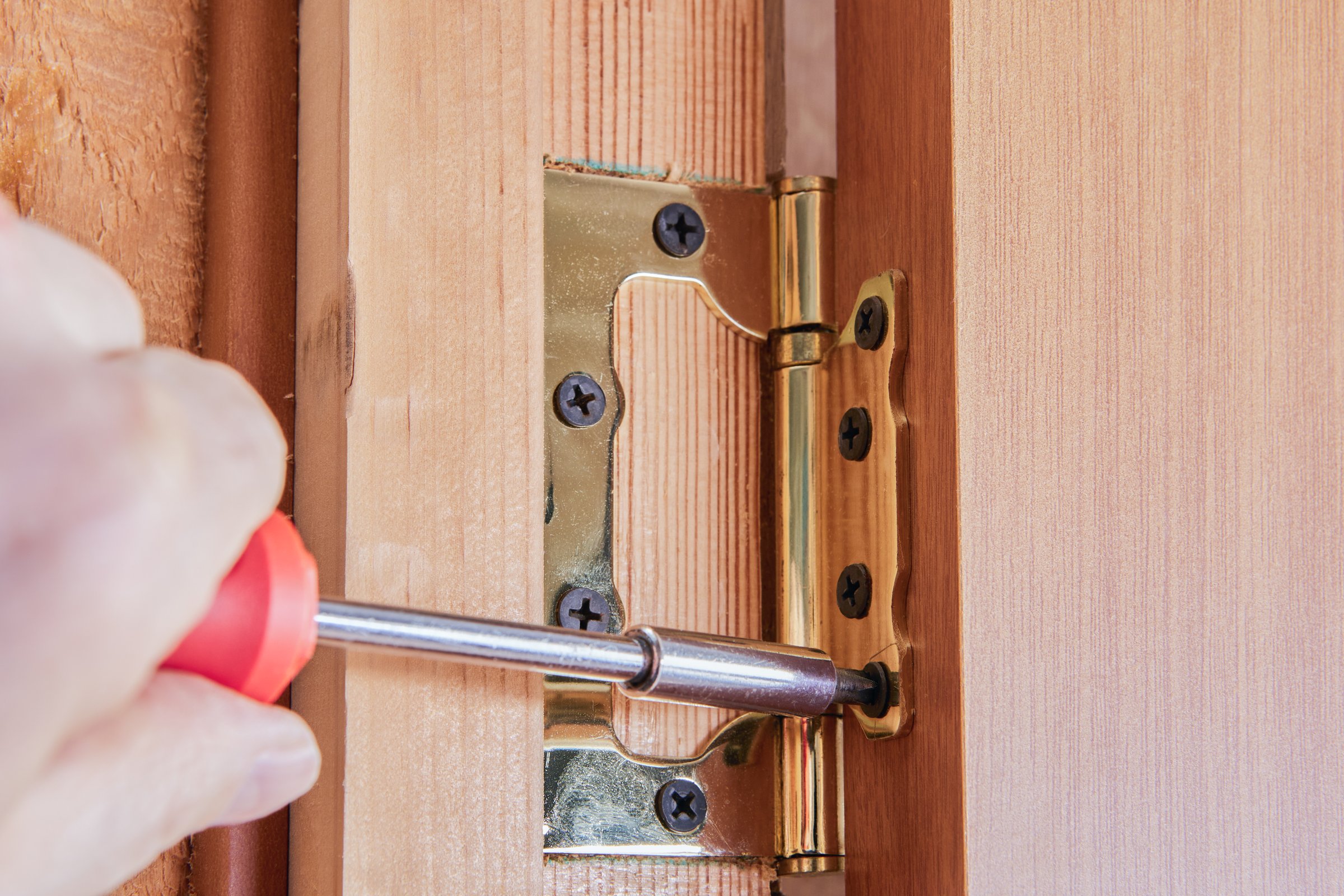 Hinge leaf aligned on door frame, showcases screw being driven into pilot hole for door installation highlighting flush mounting and fastener placement.