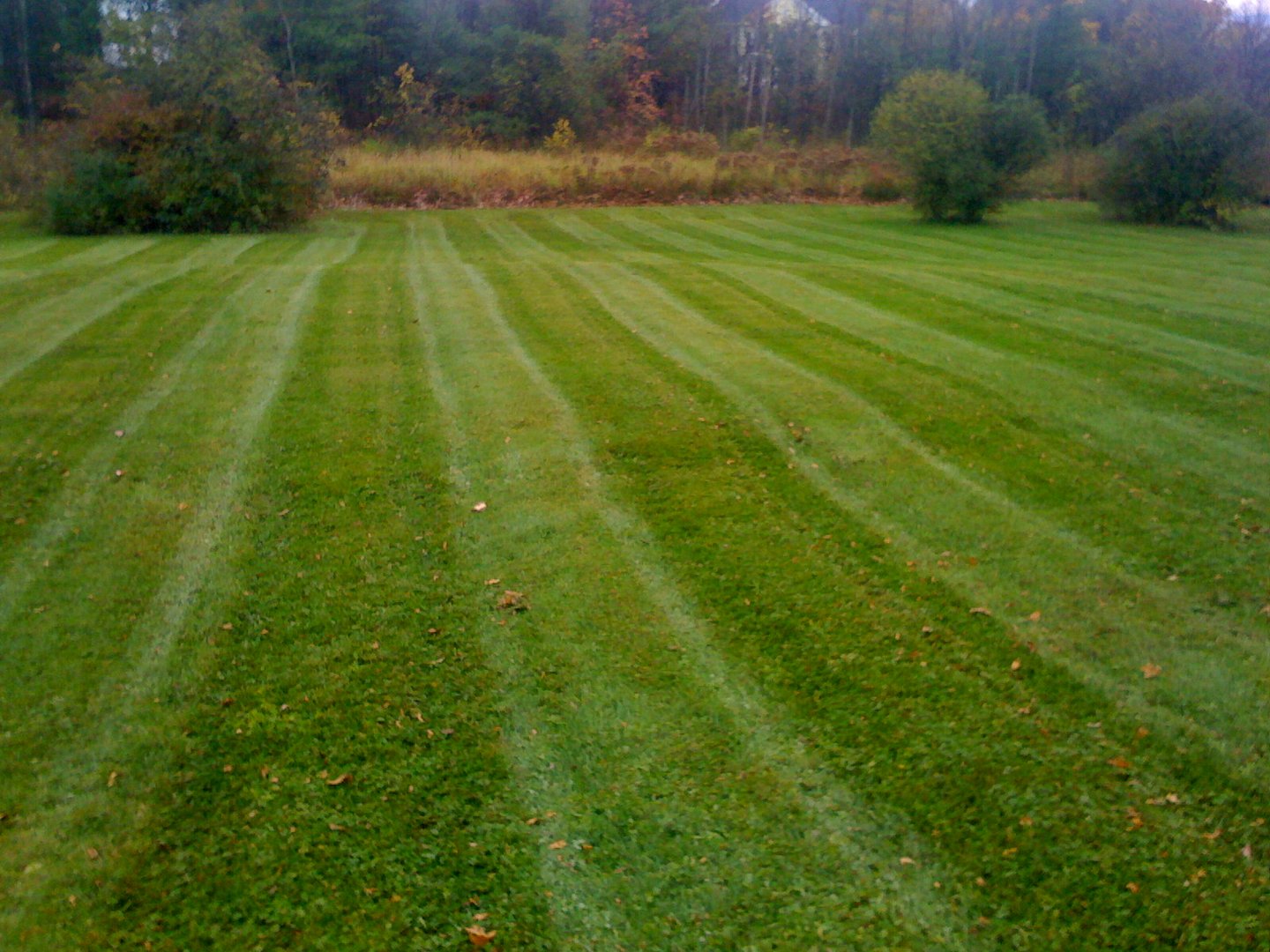 Man pushing a red lawn mower cutting tall grass