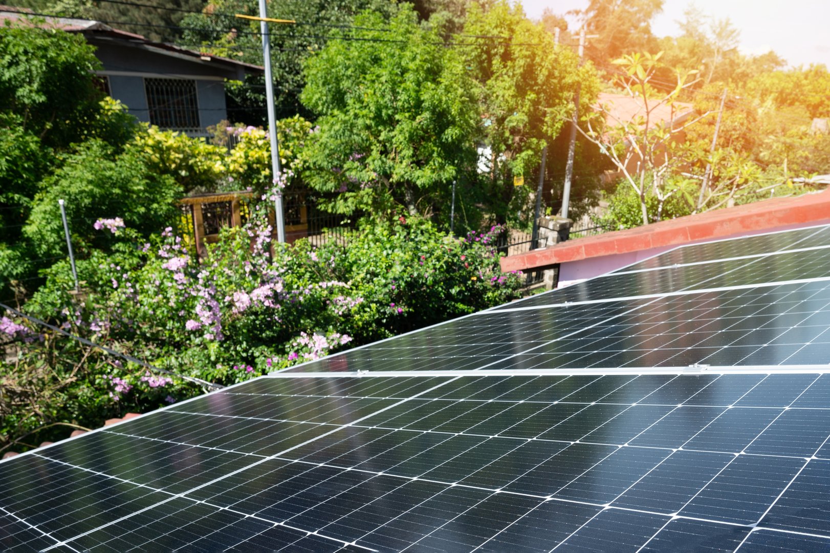 Renewable Energy Consulting