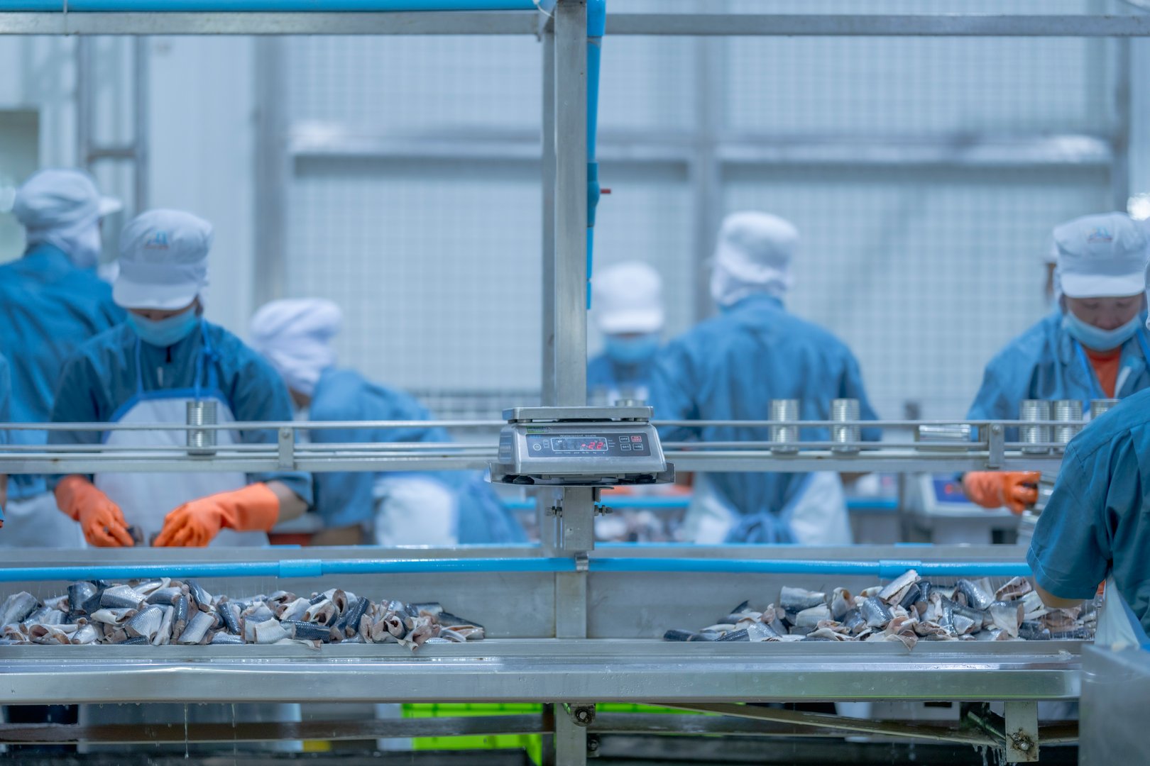 A food processing supervisor in protective gear inspecting packaging materials in a factory, holding a clipboard, emphasizing quality control, hygiene, and safety in food production operations