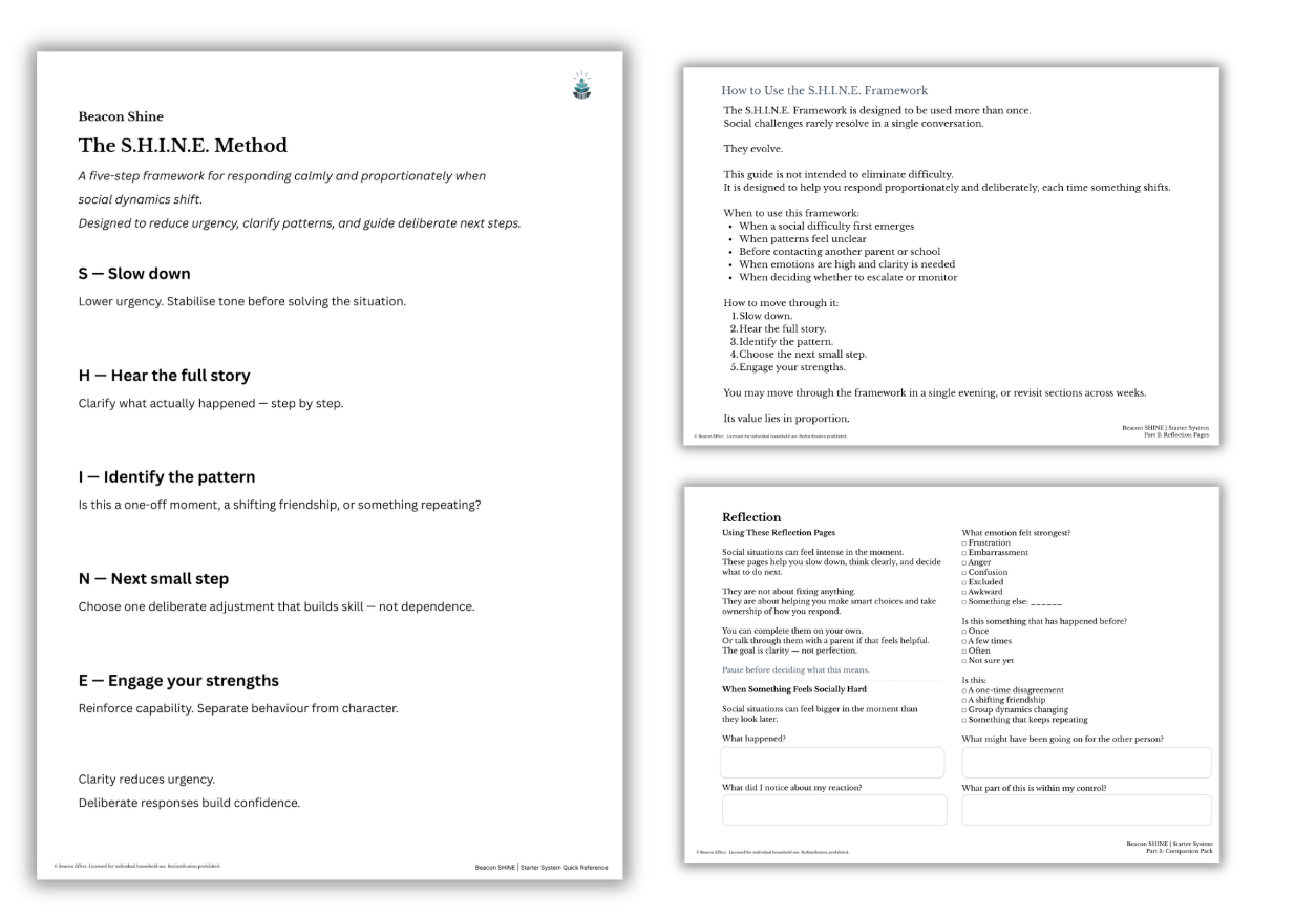 SHINE Starter System preview