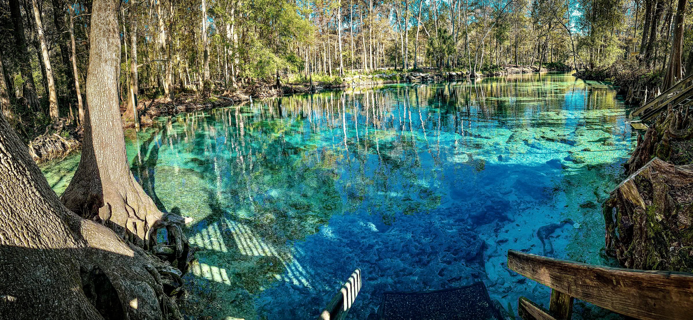 Local swimmers and divers can swim in the clear turquoise spring waters of Ginnie Springs, one of a series of naturally occurring springs feeding into the nearby Sante Fe River. Ginnie Springs is a popular local destination for tubing, swimming, and diving, and is famous for being one of the world's most popular sites for training in technical and cave diving due to its extensive underwater cave system.