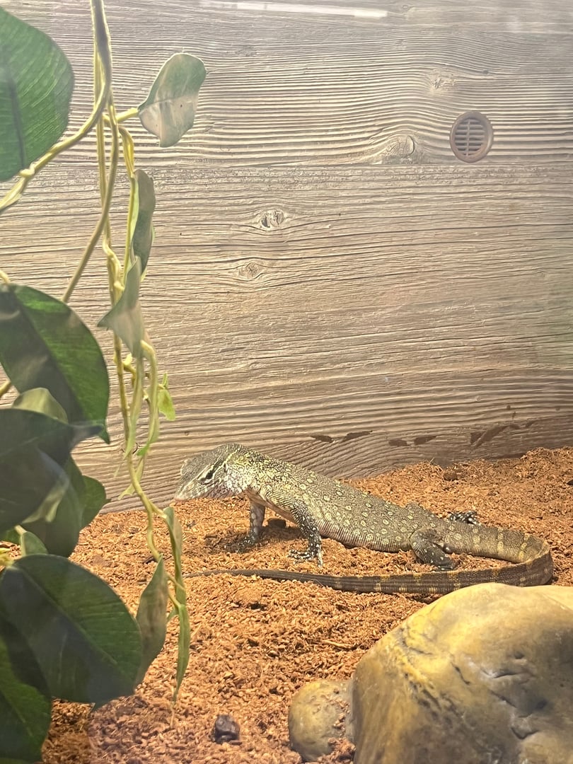 Egzo Pula zoološki vrt