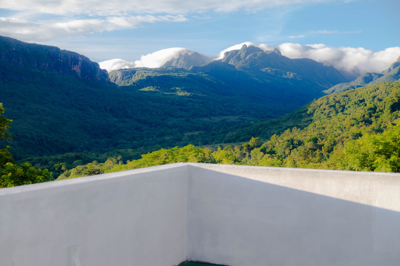 Wake Up in the Heart of Knuckles