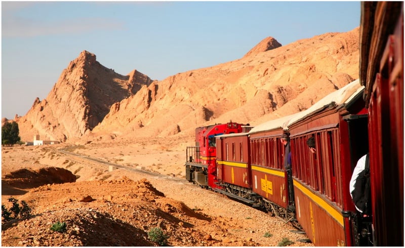 Lézard Rouge Tozeur