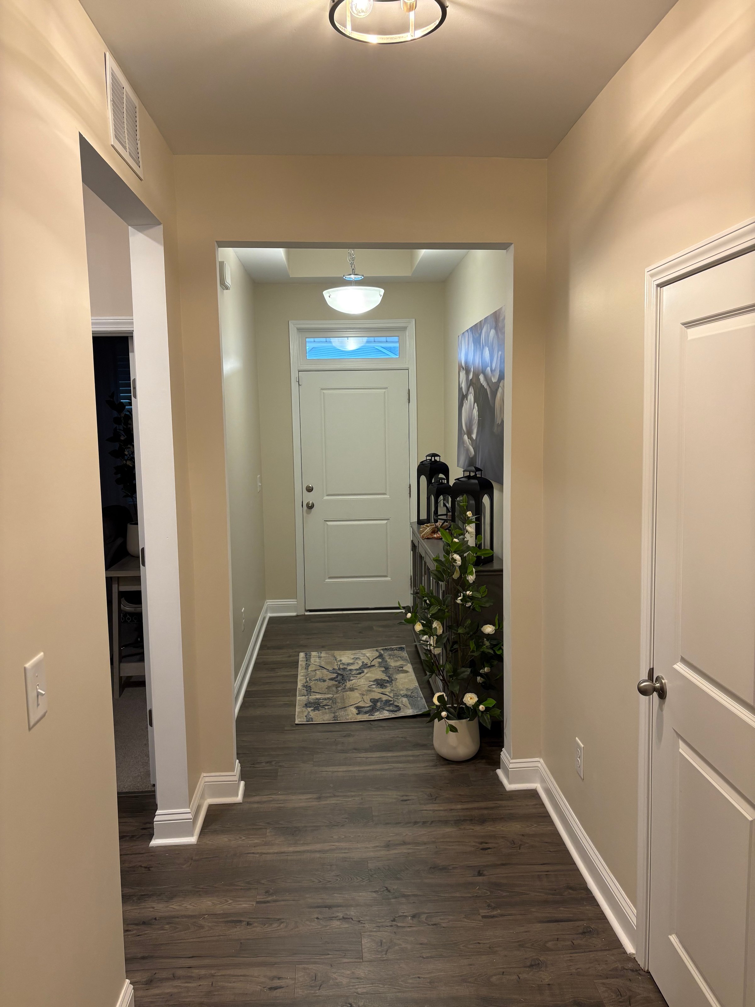 Home painting project