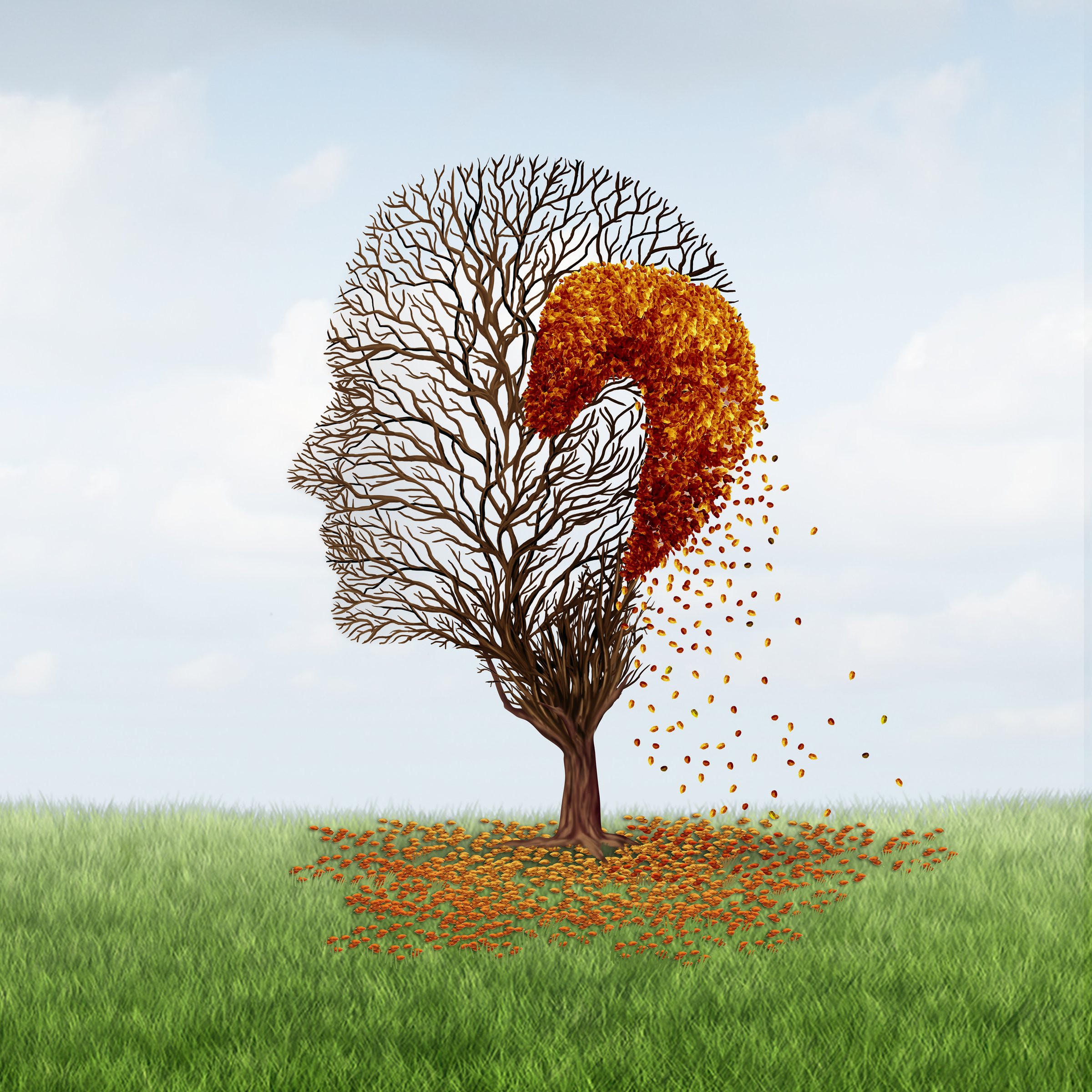 Balding And Hair Loss as Aging Hair-Loss Concept or androgenetic alopecia as a age related receding hairline and thinning on the crown of the bald head and losing hairs as tree and leaves.