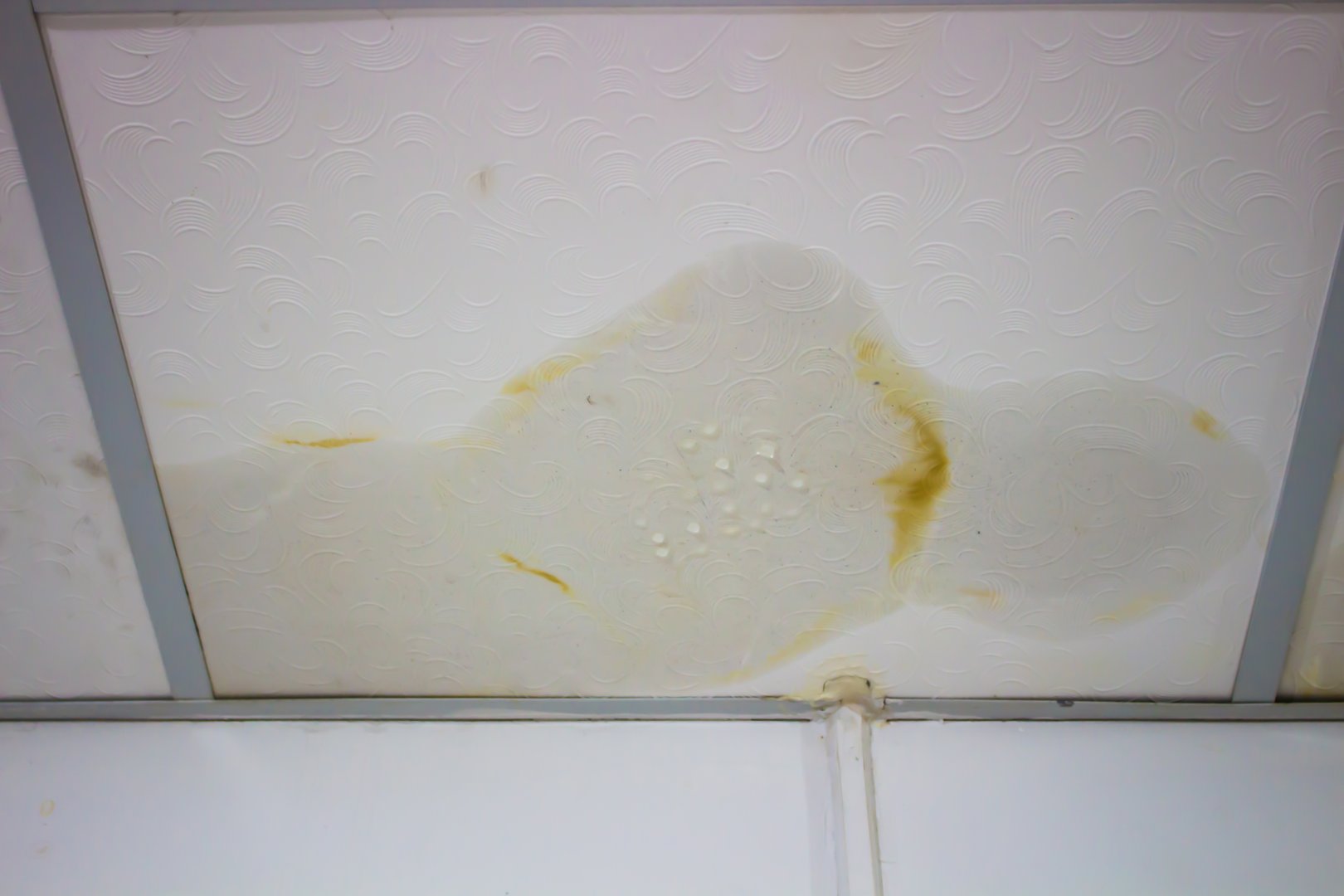 Ceiling with visible yellow water stain caused by roof leak and rainwater infiltration. Moisture damage on gypsum board showing signs of leakage, mold risk, and poor maintenance.