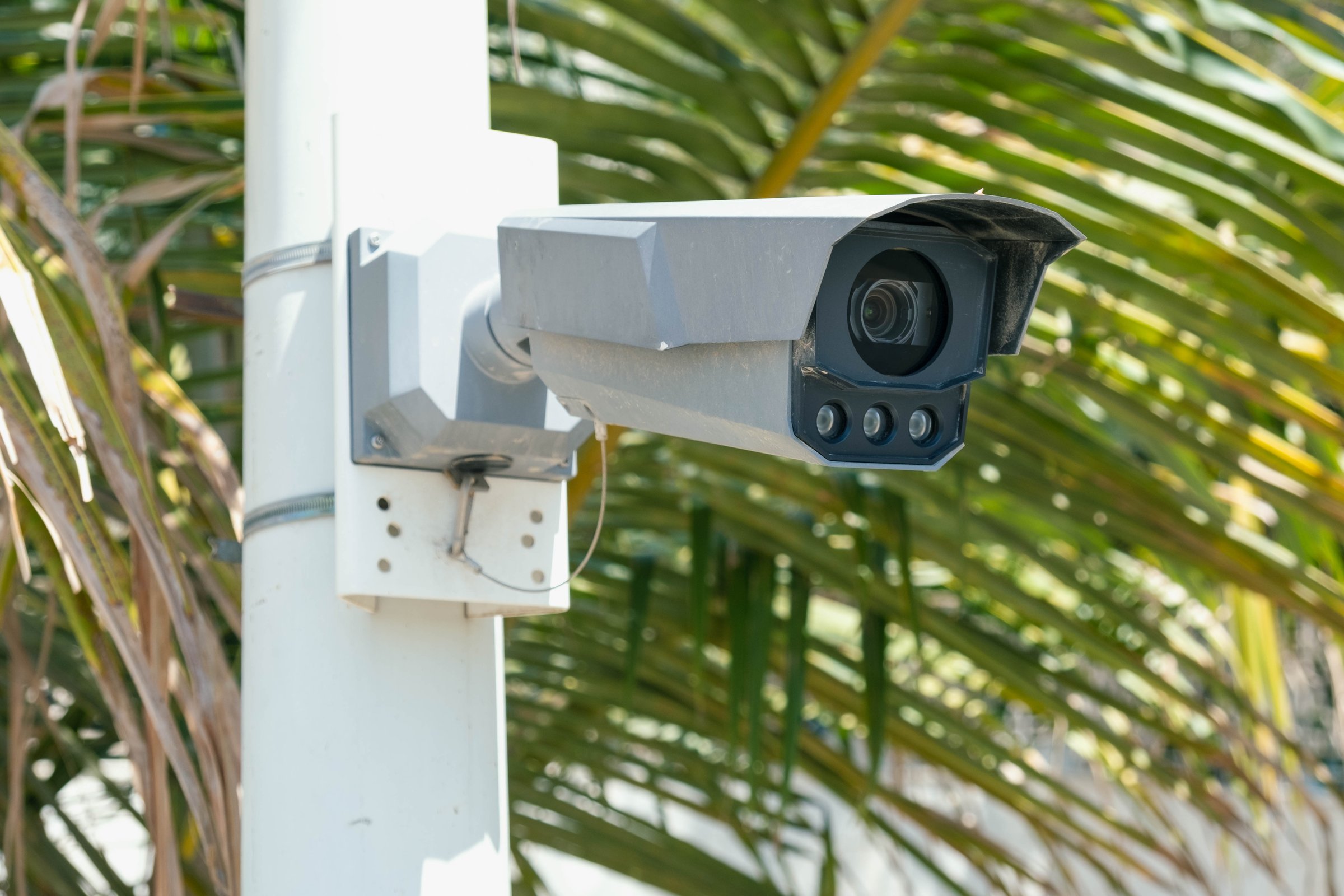 Outdoor security camera mounted on a pole near palm trees. Captures surroundings for safety and surveillance purposes in a tropical environment. Enhances security measures