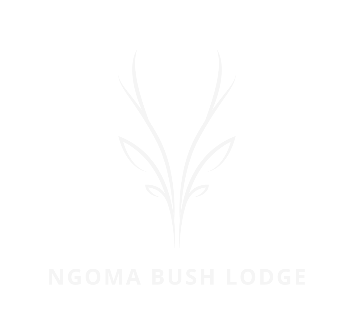 Ngoma Bush Lodge — Safari Lodge in Hoedspruit near Kruger National Park