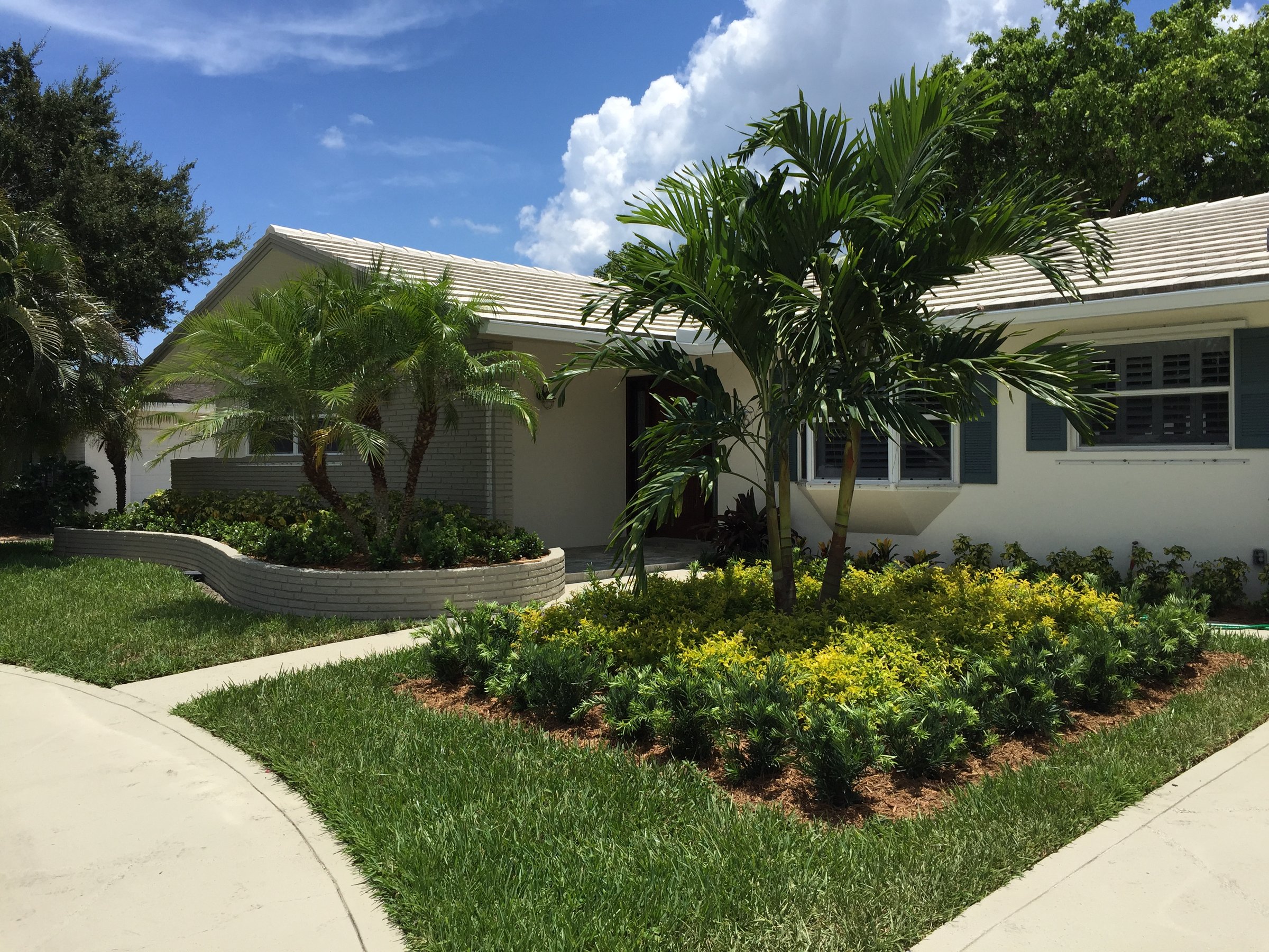 A white ranch-style house with a landscaped front yard featuring palm trees and shrubs under a clear blue sky.