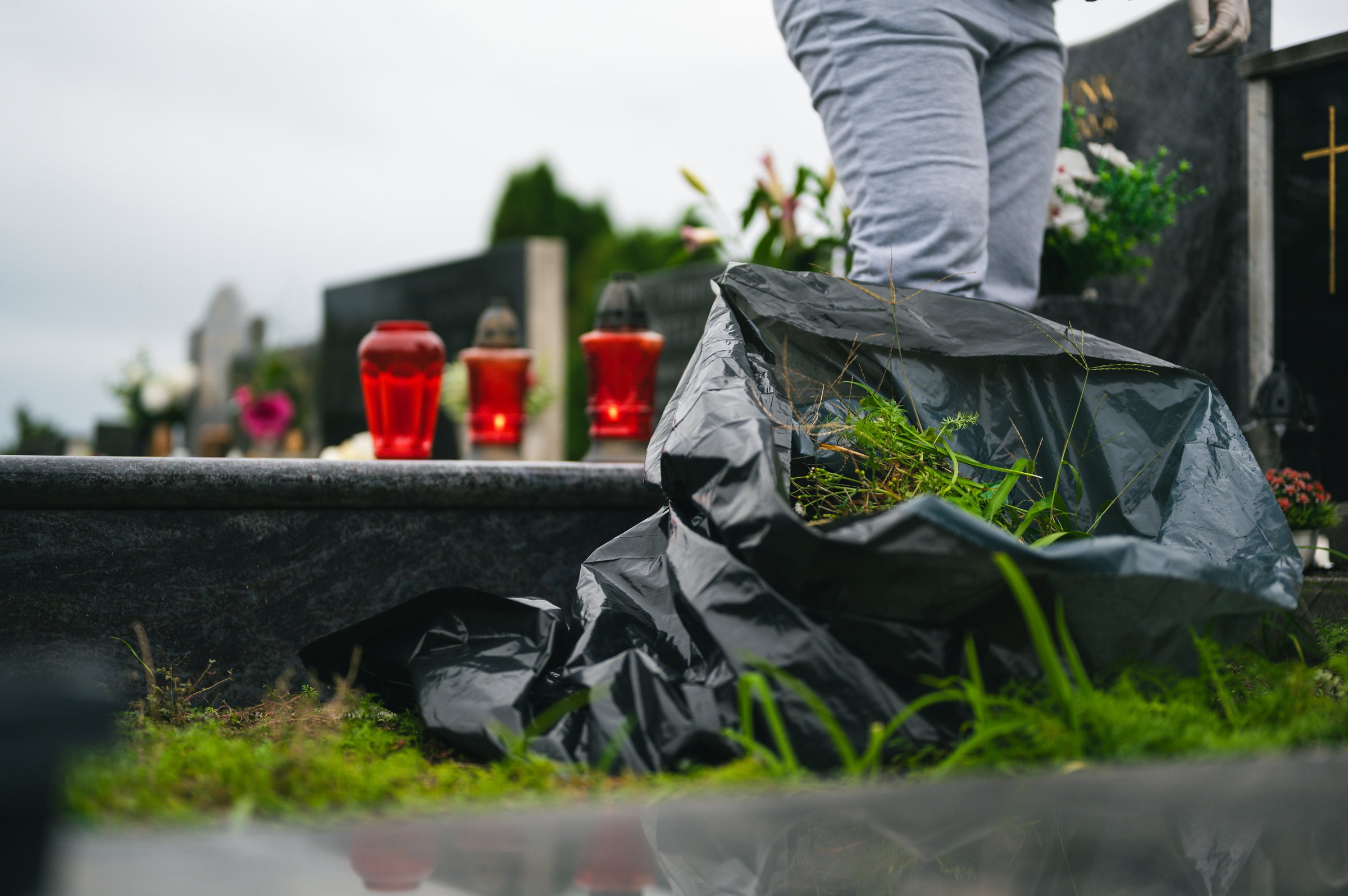 Cemetery autumn cleaning before the All Saints Day. Unrecognizable person with a big black plastic bag full of collected grass from graveyard and red lanterns in background