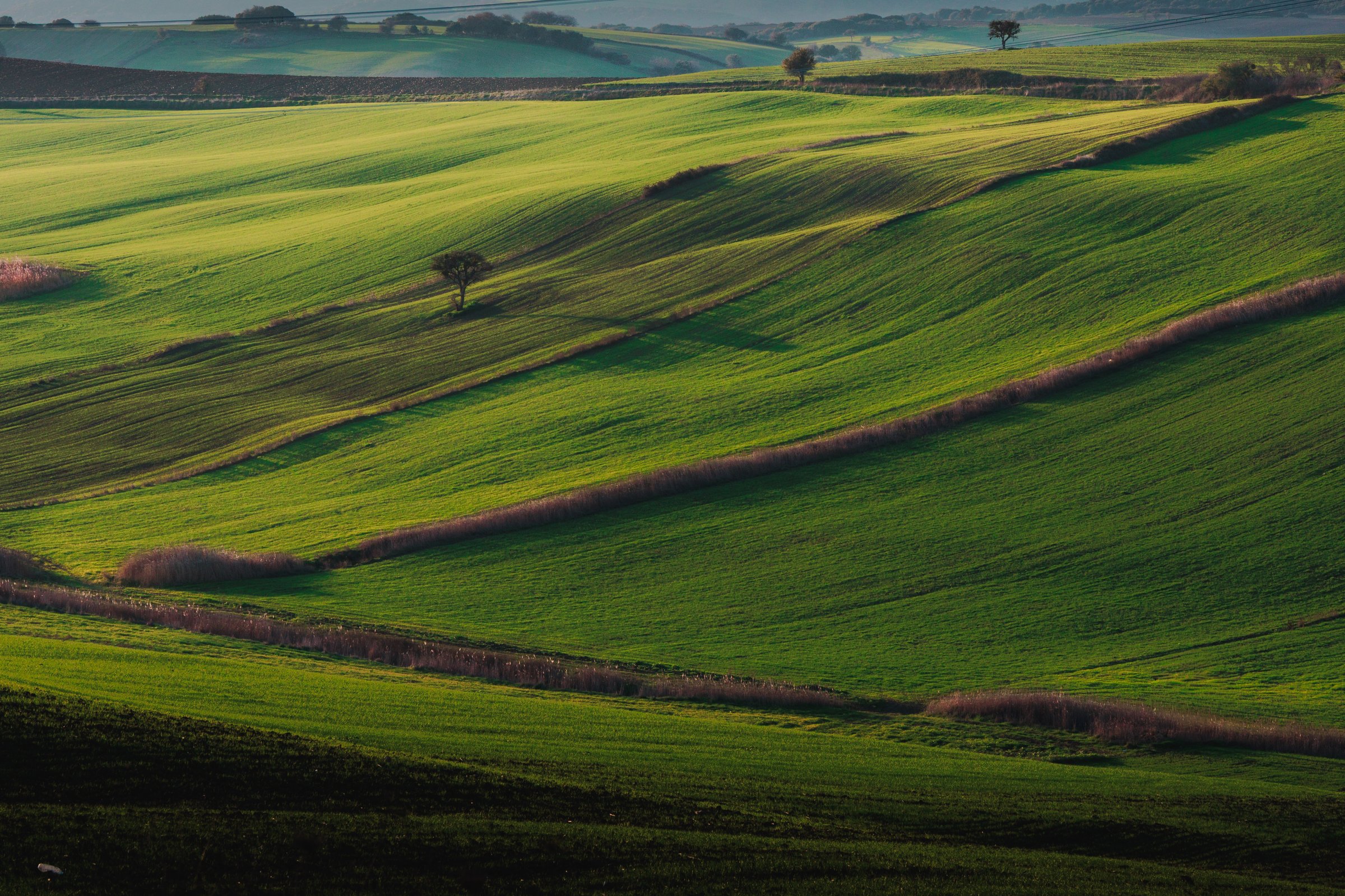 Professional roofers in Bedfordshire - Local roofing contractors serving Bedford, Luton, Dunstable and across the county