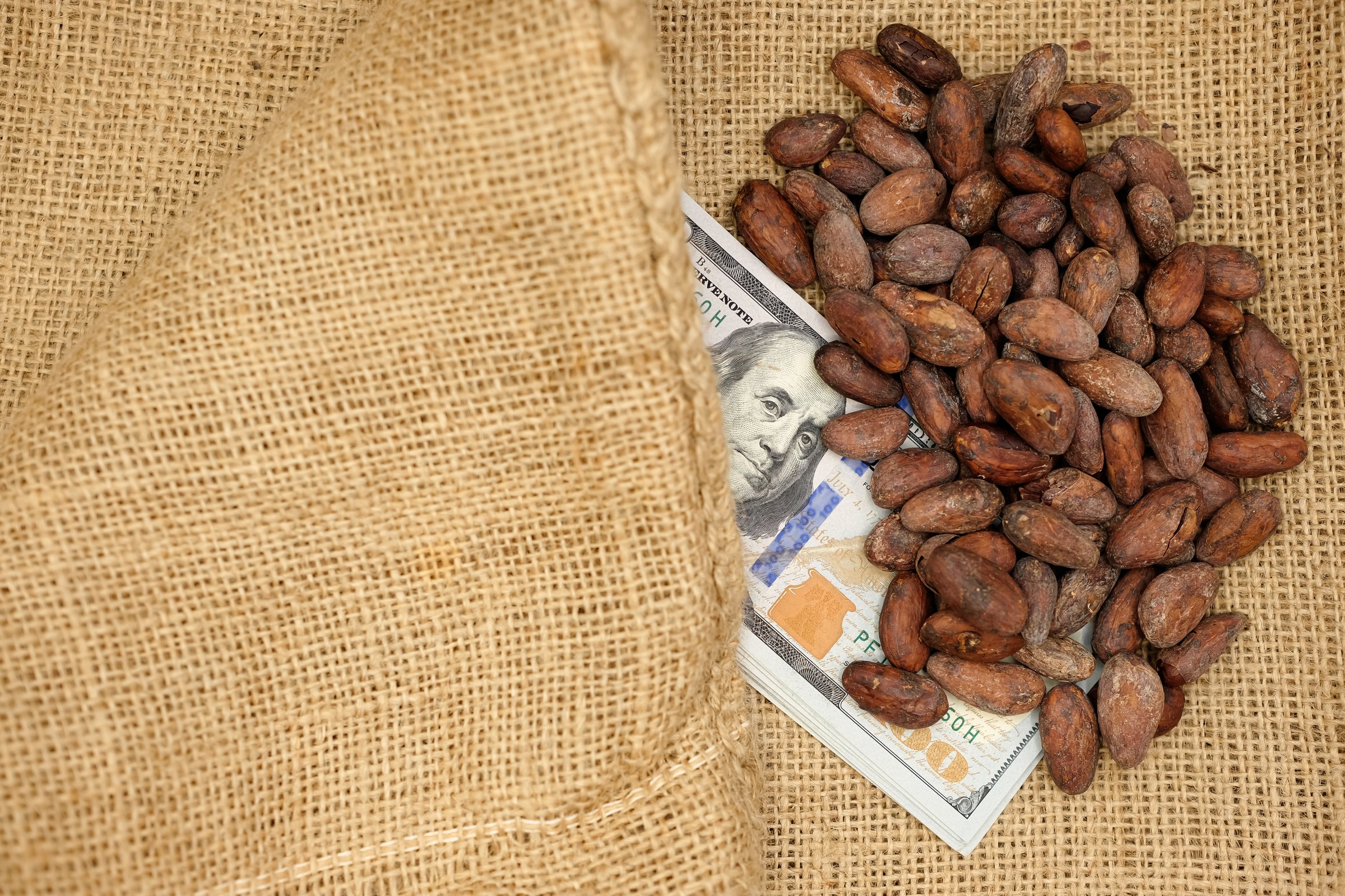 Cocoa beans on jute bag with US dollars