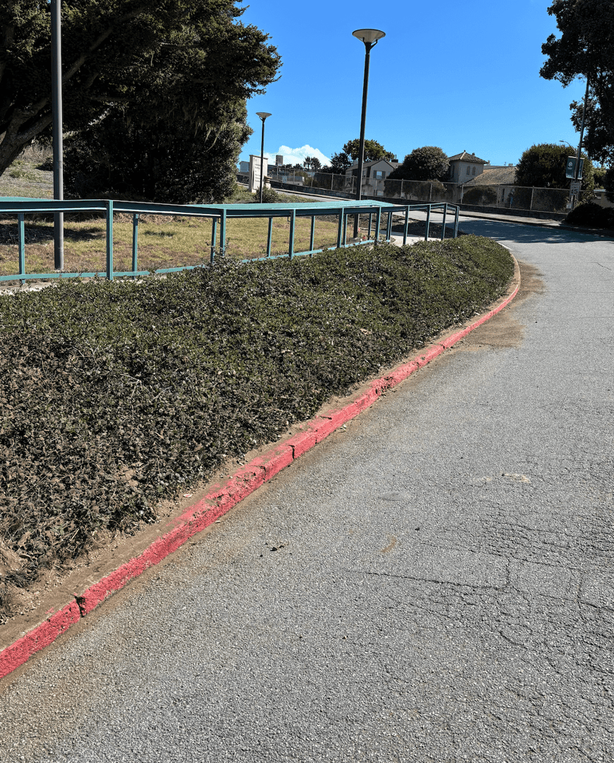 Laguna Hospital Vegetation Cleanup image 3