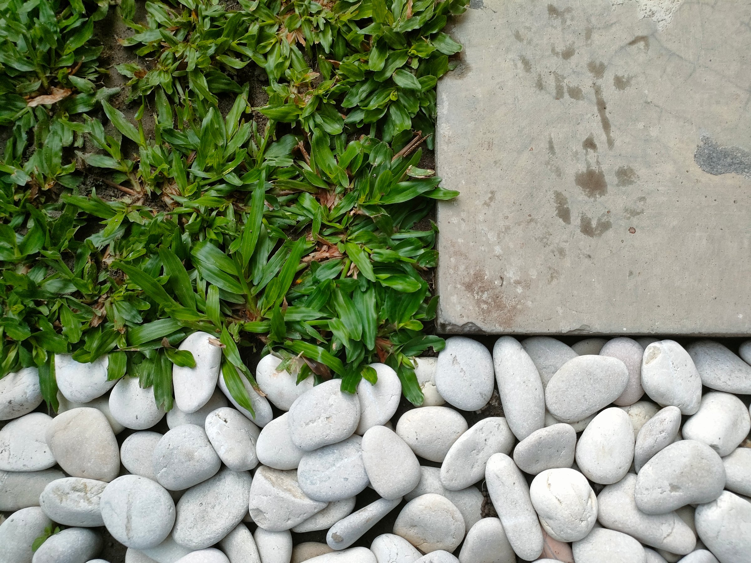 Garden layout with stones and grass