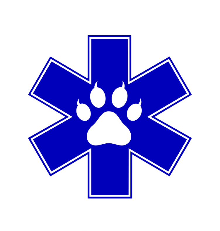 Feral Cat Rescue & Youth Sanctuary