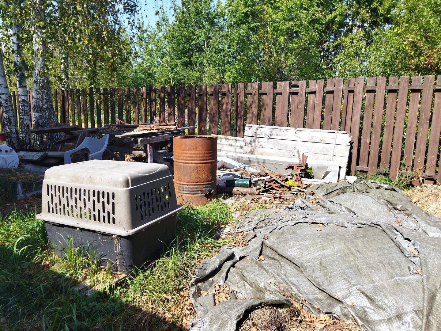 Schuppenentrümpelung