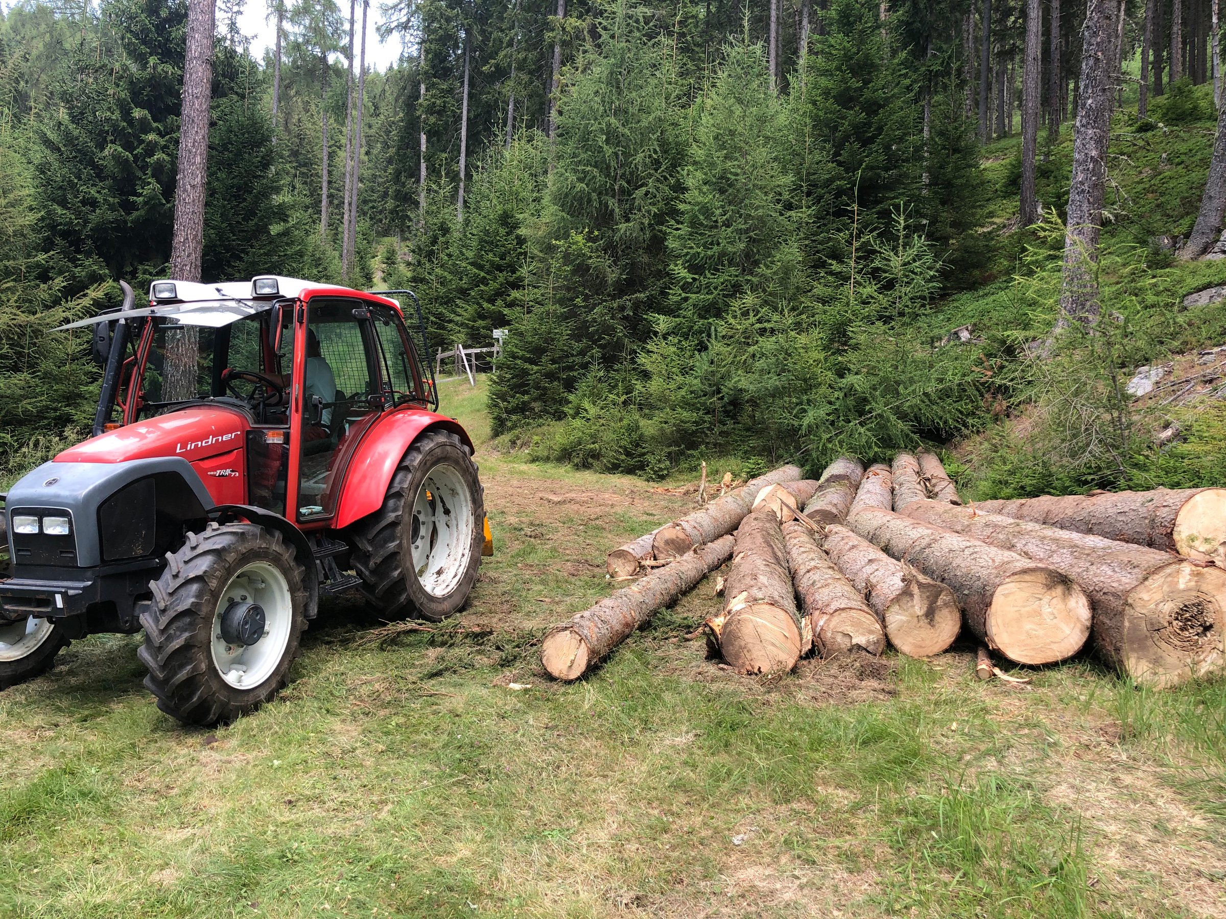 Forestry Work Detail 1