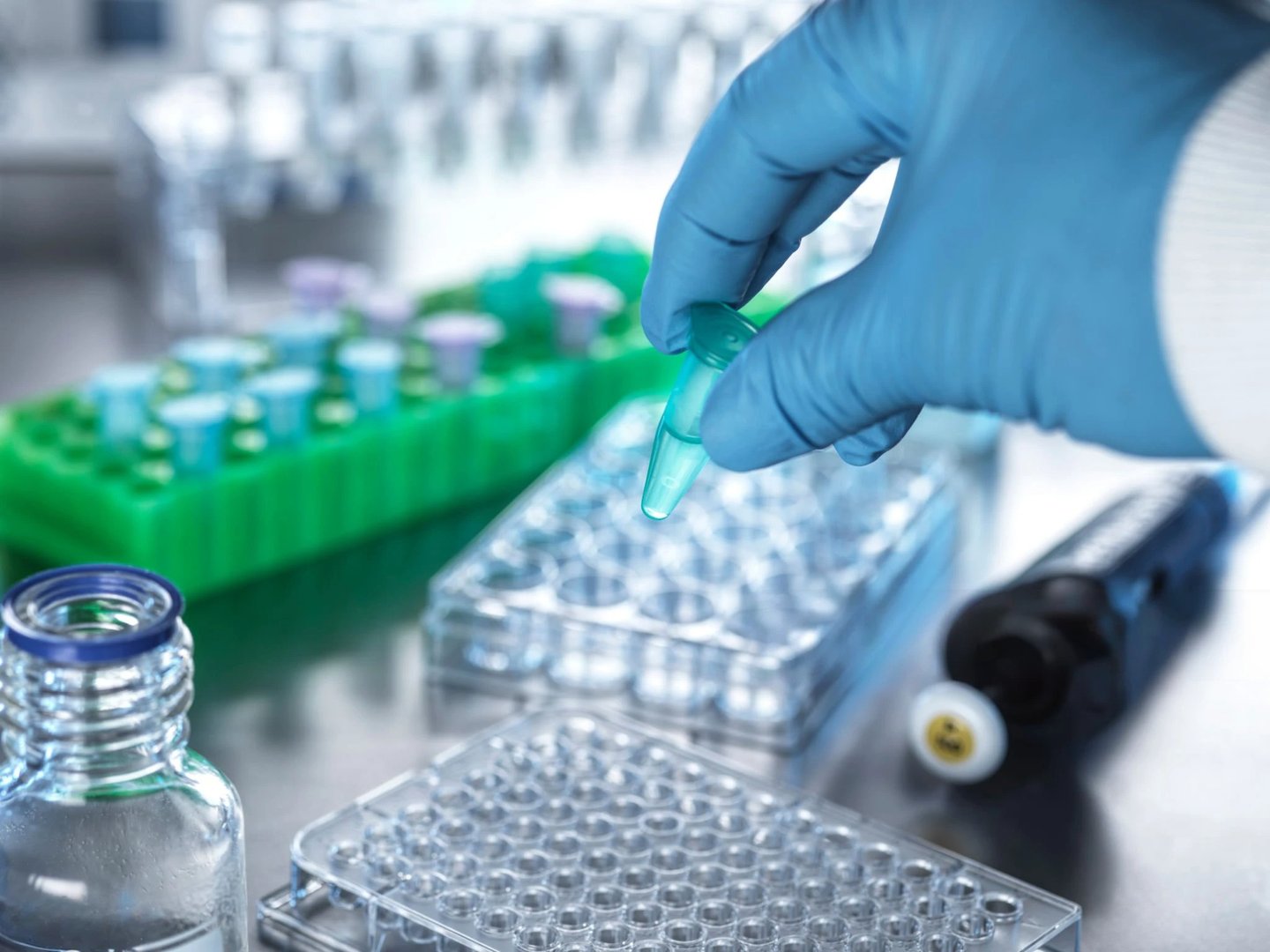 A gloved hand is holding a test tube, close to a multi-well plate, within a laboratory setting, highlighting scientific research.