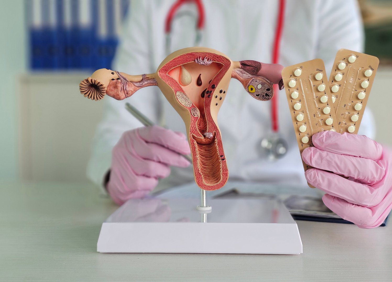 Medical professional shows reproductive anatomy model alongside birth control pills in a clinical setting