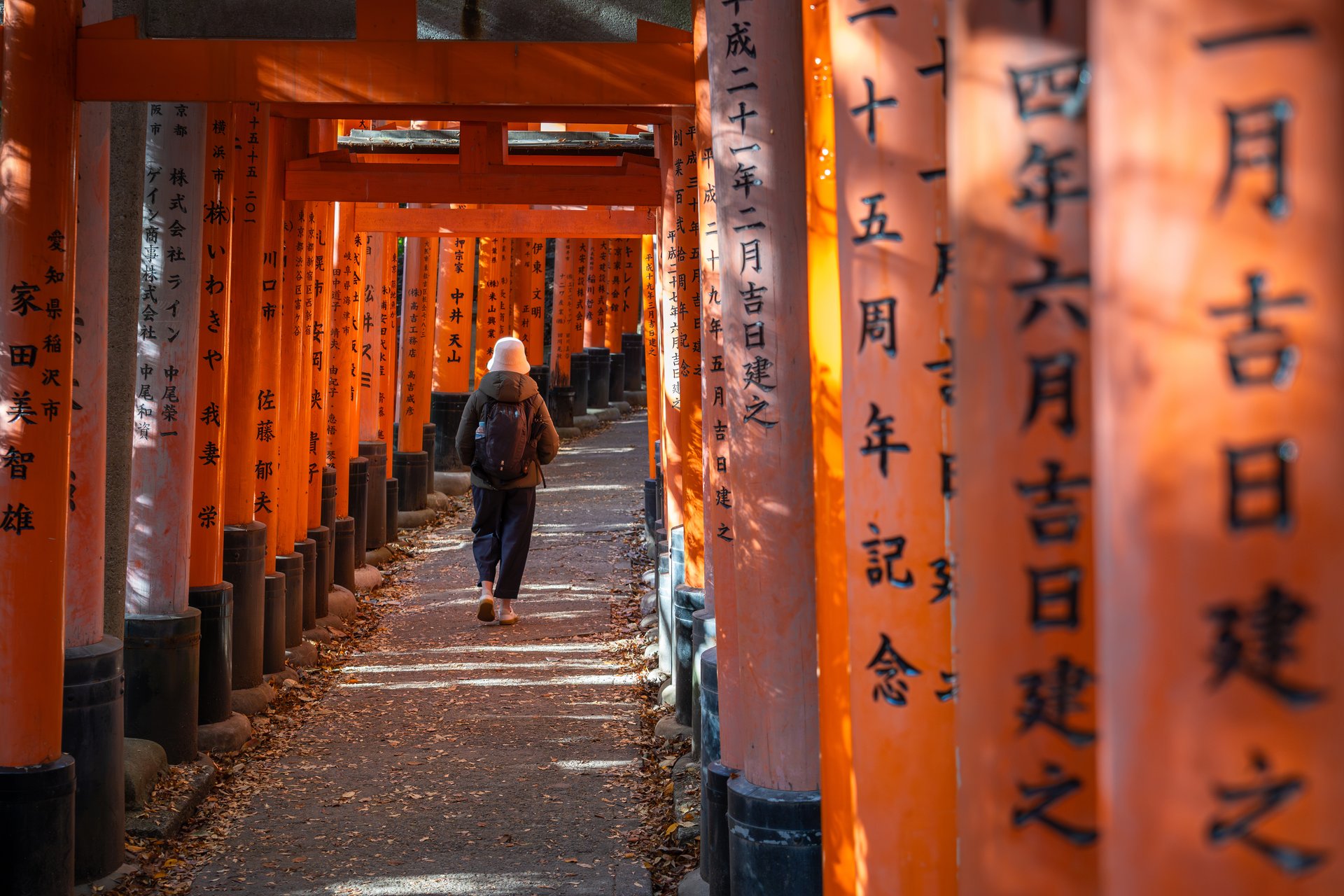 Kyoto, Japan - November 25, 2023: Solo female traveler exploring Japan, walking through iconic red torii gates at Fushimi Inari shrine in the ancient capital Kyoto.