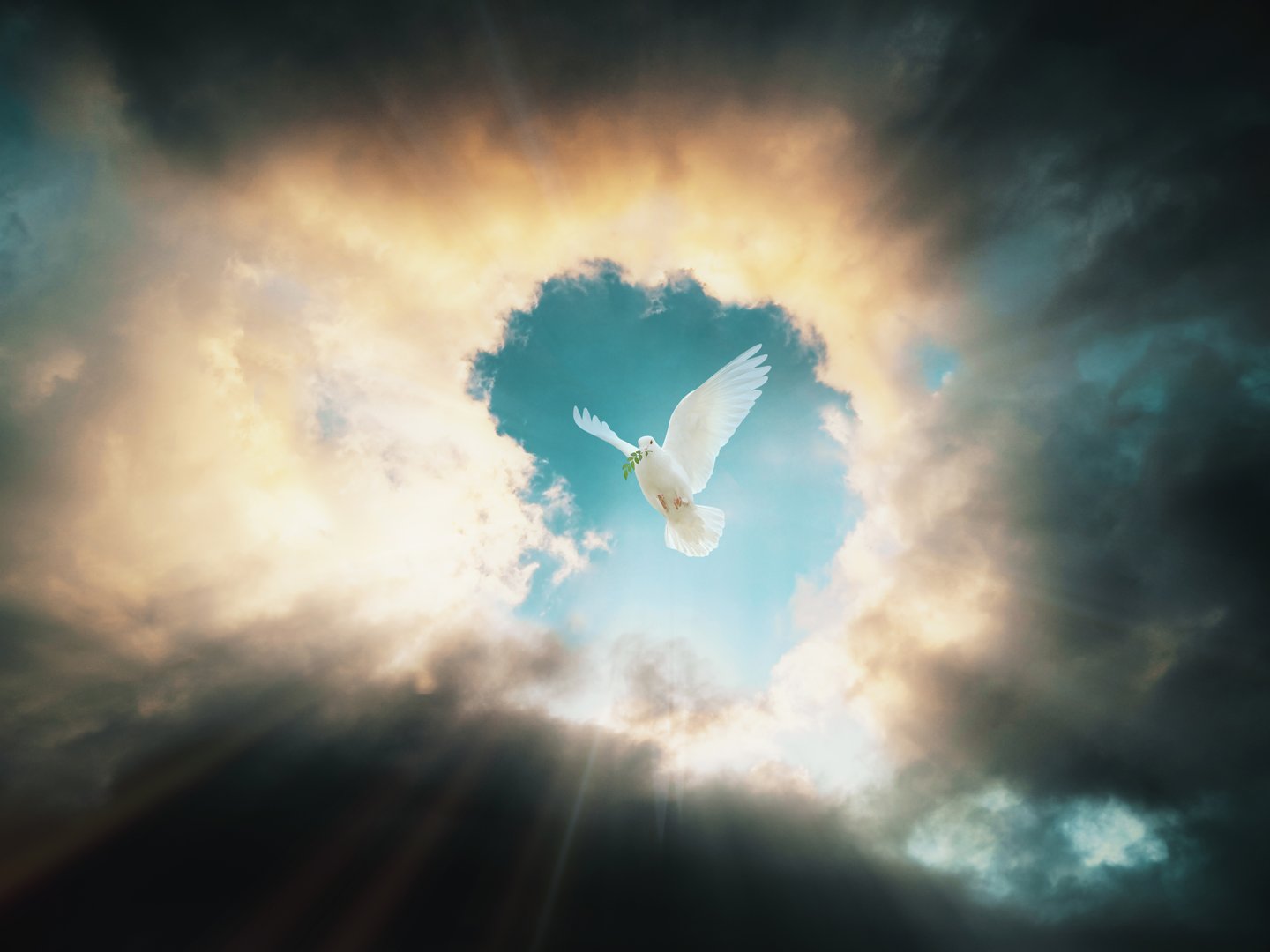 Holy Spirit in the Catholic Church